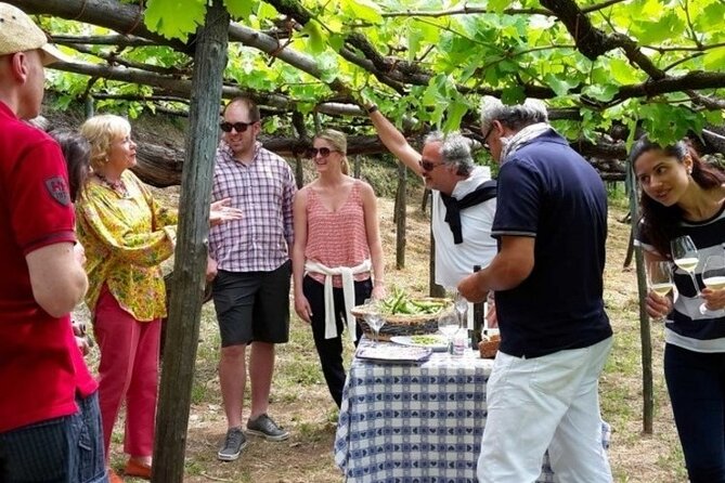 Tenuta San Francesco Wine Tasting - Additional Review Details