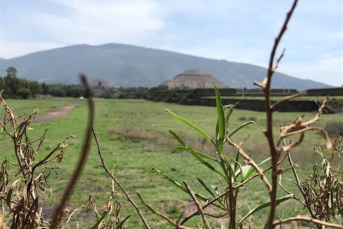 Teotihuacan and Basilica of Guadalupe Private Tour - Explore Iconic Pyramids