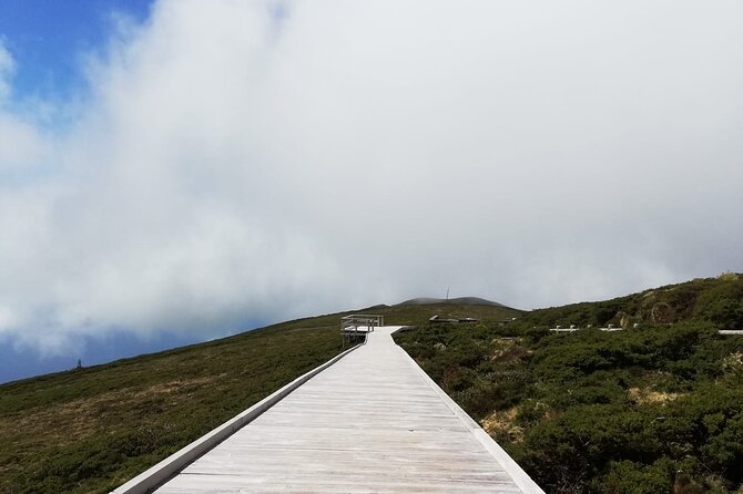 Terceira Island Full Day Tour - Enhancing Your Island Adventure
