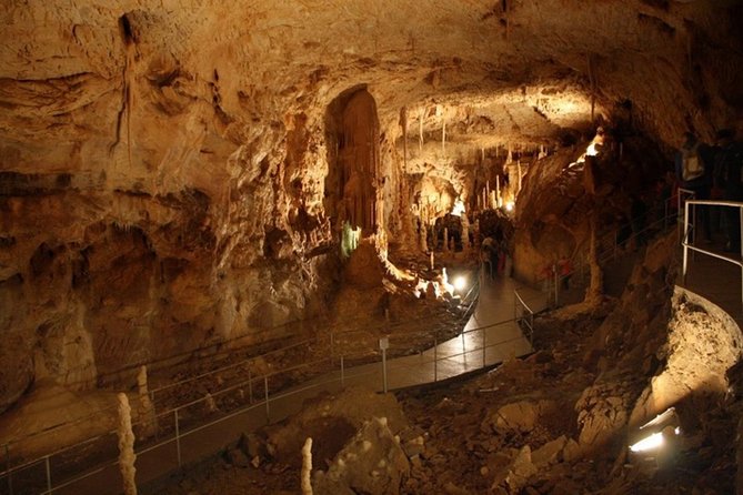 The Bears Cave - One-Day Air Conditioned Car Tour From Oradea - Souvenir Photos and Fees