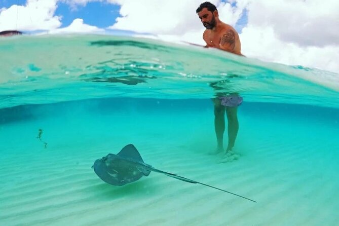 The Best Cozumel Snorkeling Tour Palancar, Colombia and El Cielo Reefs - Departure and Return Times