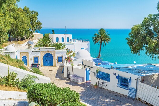 The Best of Tunisia, 3 Days Guided Tour With Lunch - Exploring Carthage Ruins