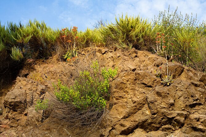 The Bronson Caves Tour - Booking and Confirmation