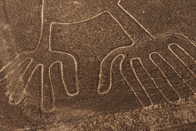 The Enigmatic Nazca Lines & Huacachina Oasis - Private Trip - Oasis Tranquility