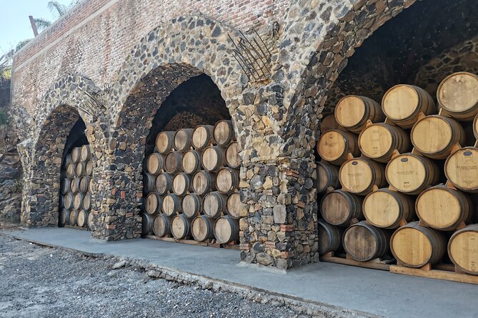 THE FIRE TOUR - Pyramids, Volcanoes, Agaves & Tequila - Tequila Town Exploration