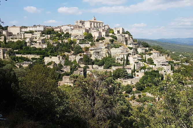 The Lavender Country - Private Tour With a Local Guide - Chateauneuf-du-Pape Wine Tasting