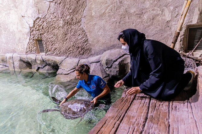 The National Aquarium Abu Dhabi Admission Tickets - Aquarium Zones and Exhibits