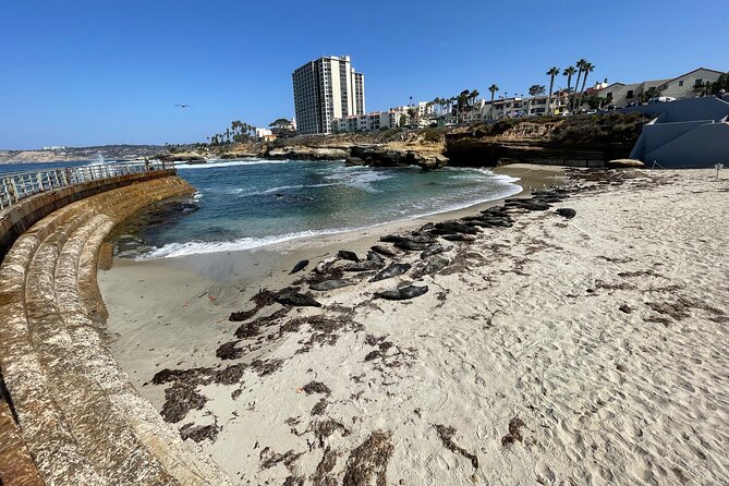 The Plunge E-Bike Tour in La Jolla - Health and Safety Guidelines