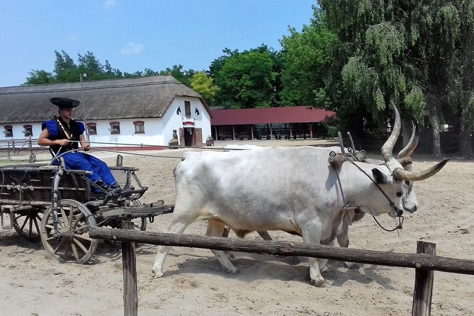 The Puszta Horse Show - Culinary Delights