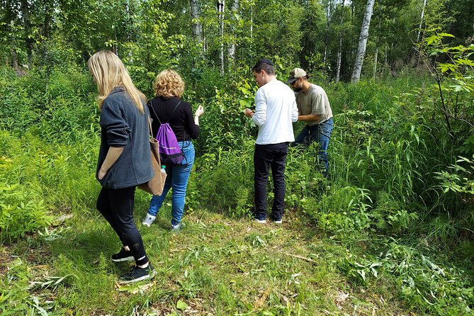 The Reindeer Grove Homestead Tour and Forage - Traveler Reviews and Feedback