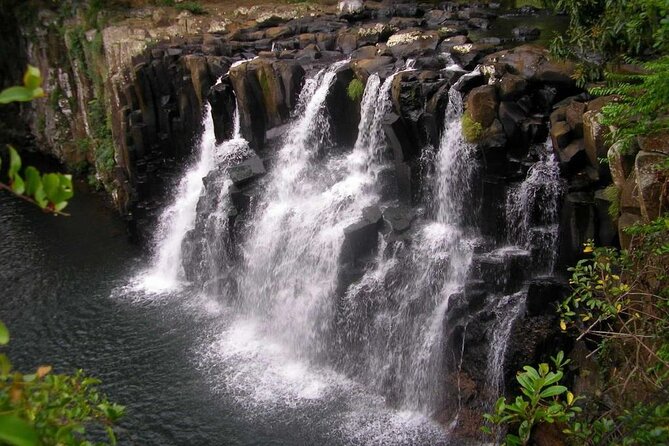 The Vanilla Nature Park - Booking and Pricing Details