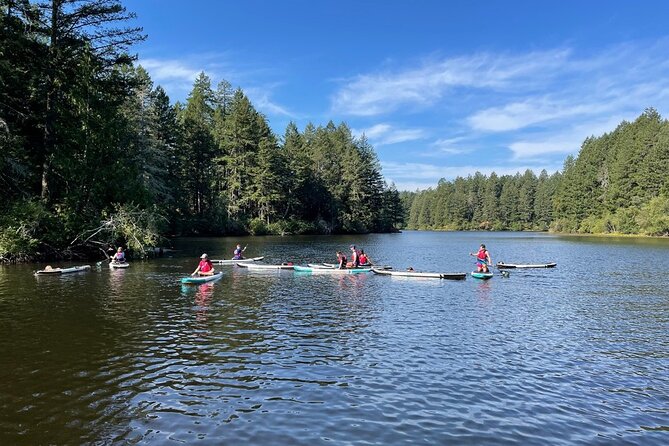 Thetis Lake Stand Up Paddle Boarding - Pricing and Availability