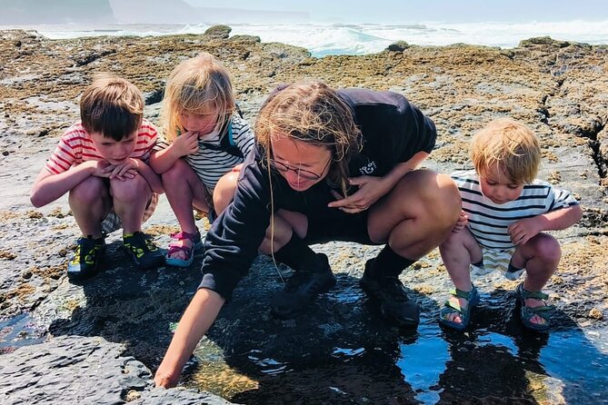 Tide Pool Safari in Monte Clérigo Beach - What to Expect