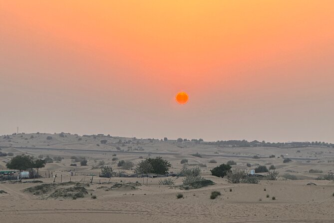 Top Premium Desert Safari With BBQ DINNER - Accessibility and Additional Information