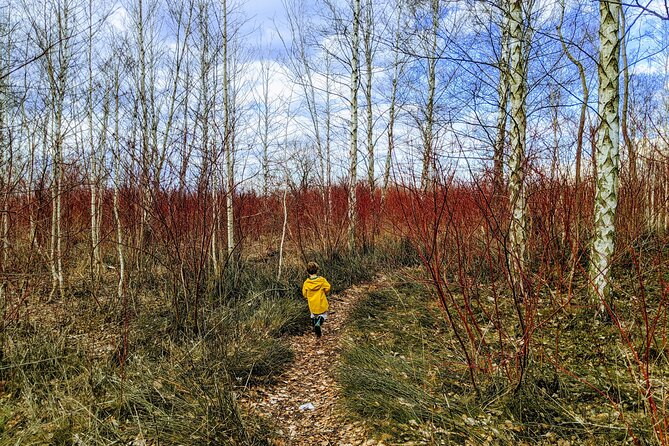 Toronto Custom Private Walking Tour of Hidden Gems With a Local - Pricing and Duration