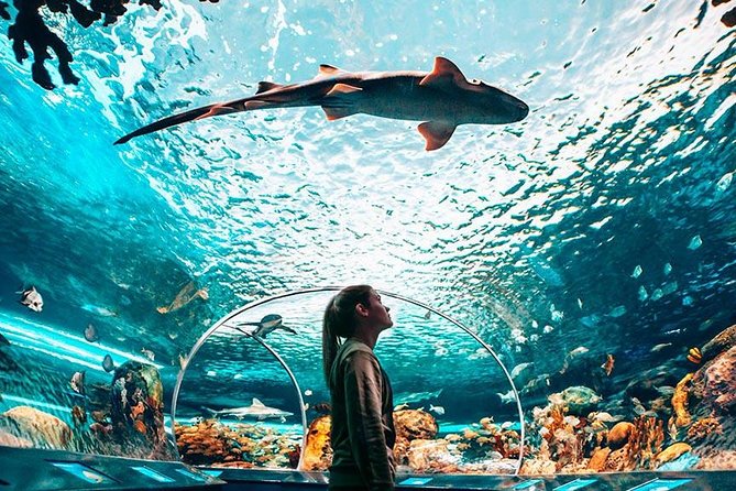 Toronto, Niagara Falls & Thousand Islands 3–DAY Trip - Additional Information
