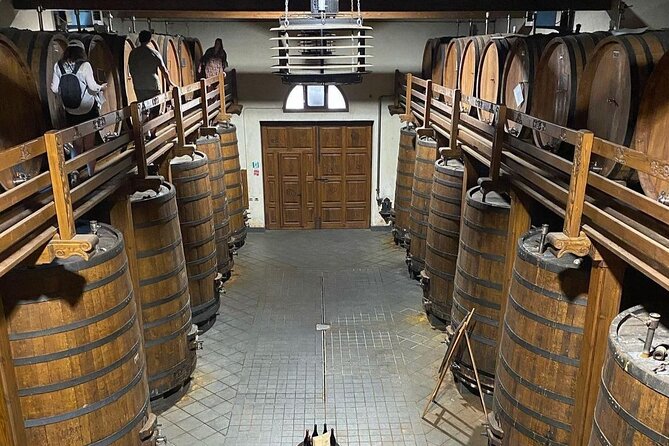Tour and Wine Tasting at the Etna Cellars - Savoring a Complete Lunch