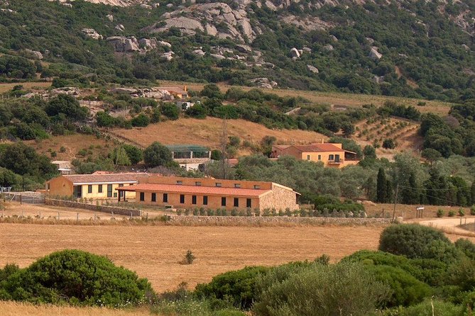 Tour & Dinner In A Farm Of North Sardinia - Pricing and Availability