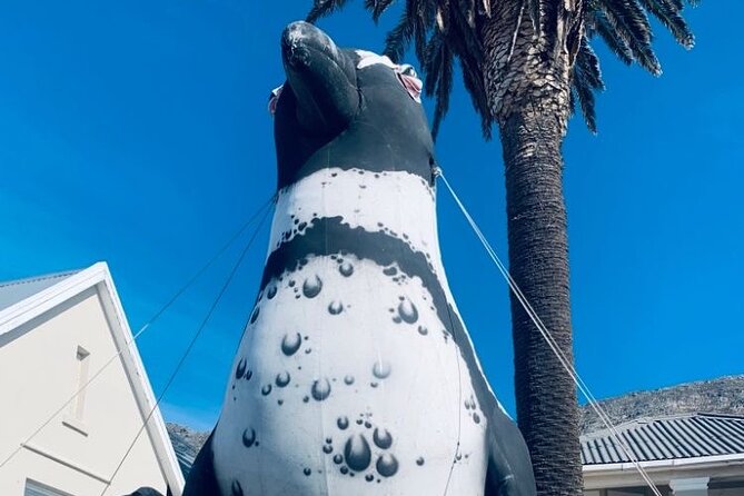Tour From Cape Town to Penguin Beach, Table Mountain, Campsbay - Traveler Reviews and Ratings