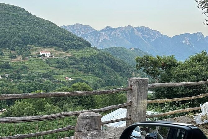 Tour From Positano to Amalfi Coast : Luxury Tour, Secret Vineyard - Additional Details