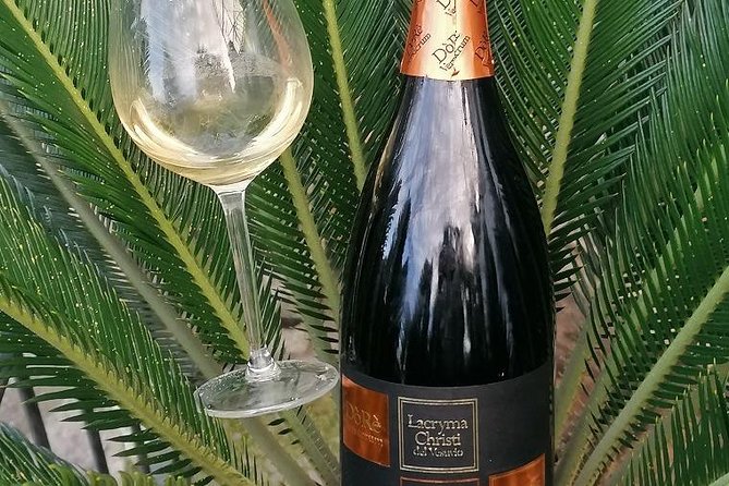 Tour From Sorrento to Pompeii and Winery - Customer Support and Resources