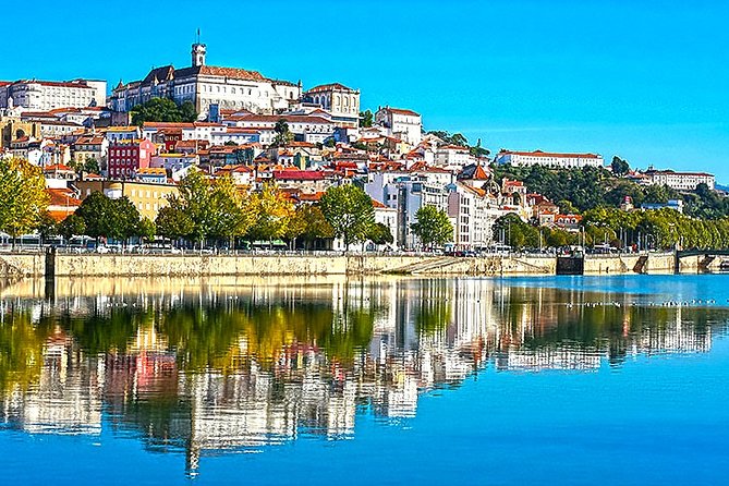 Tour Portugal 6 Days - Tour Rating and Feedback