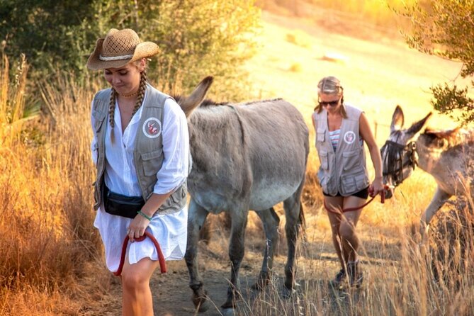 Tour the Sanctuary and Walk With the Donkeys and Share Their Love - Lunch and Refreshments