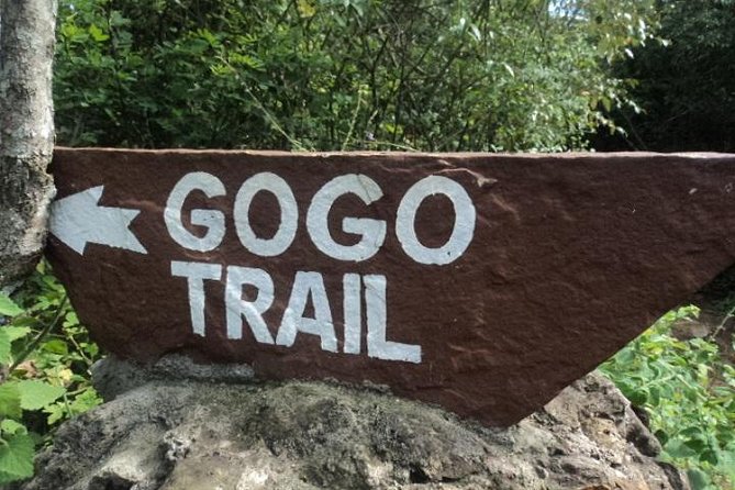 Tour to Giraffe Center From Nairobi - Cancellation Policy