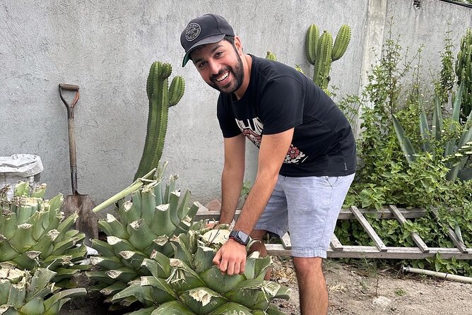 Tour to Hierve El Agua and Mezcal Distillery (Small Groups) - Timing Considerations