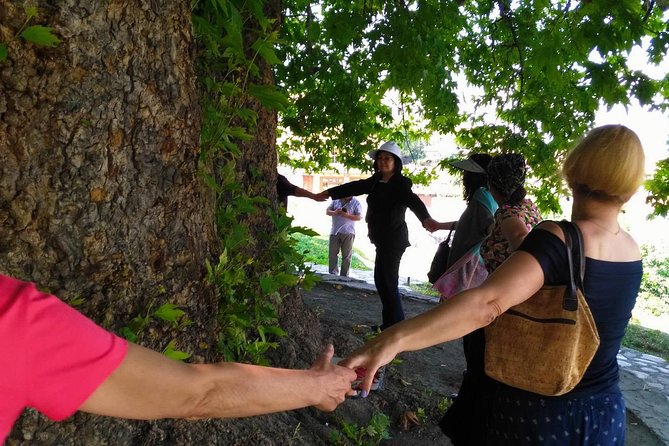 Tour to Kakheti. Sighnaghi – Bodbe Monastery – Tsinandali – Telavi – Winery – Gombori - Discovering Tsinandali Palace
