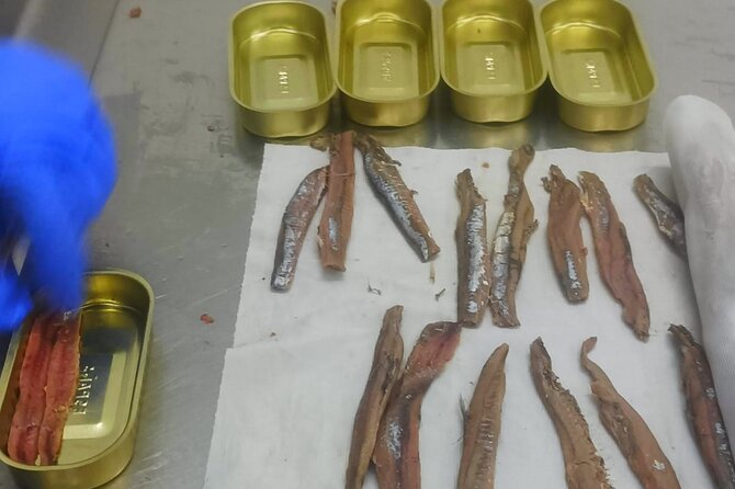 Tour to the Anchovies Factory and Santoña Marshes With Tasting - Exploring the Anchovies Factory