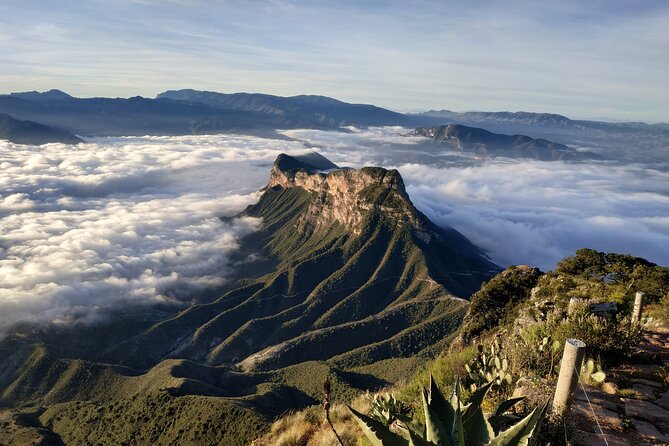Tour to the Sierra Gorda in One Day in English, Leaving Querétaro - Cancellation and Rescheduling