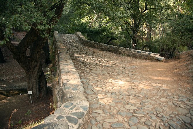 Tour TROODOS MOUNTAINS From Paphos - Tour Requirements and Recommendations