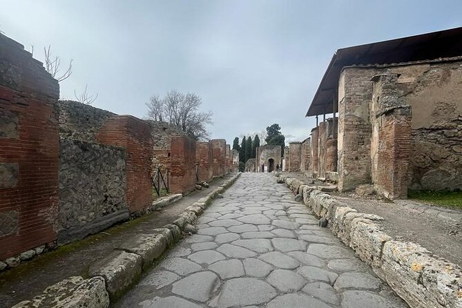 Tramvia Napoli Daily Trip to Pompeii Ruins - Explore Pompeiis Ruins