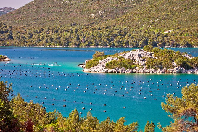 Transfer From Split to Dubrovnik With 2 Hours Stop in Ston Town - Customer Support and Inquiries
