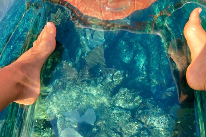 Transparent Kayaking With Drone Photo Shoot Sosua Bay - Customer Feedback and Insights