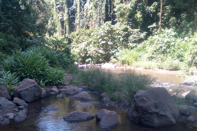 Transport Services and Cultural Tourism Arusha - Exploring Arushas Culture