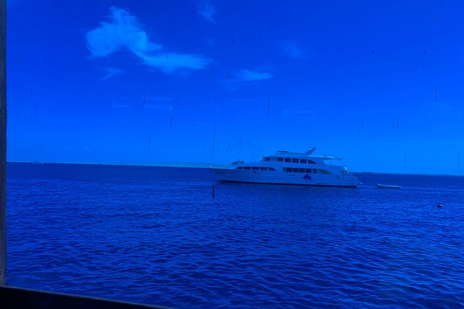 Trip on a Glass Bottom Boat From Hurghada - Snorkeling and Underwater Views