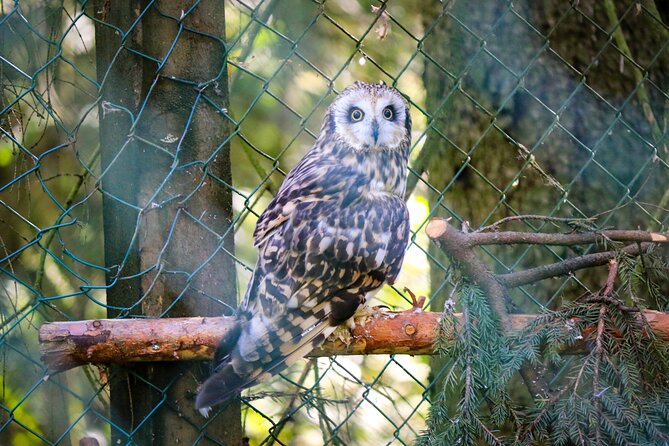 Trip to Ranua Wildlife Park - Cancellation and Refund Policy