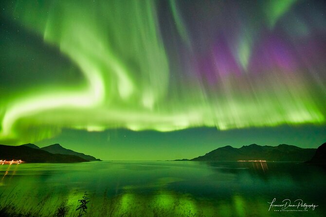 Tromso: Private Aurora Chase by Minivan - Traveler Reviews and Ratings