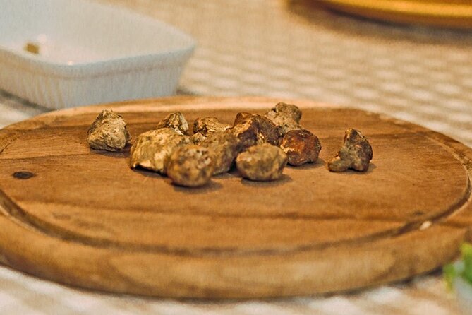 Truffle Hunting & Truffle Cooking Class - Reviewing the Terms and Conditions