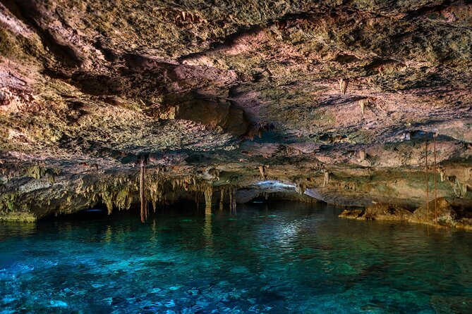 Tulum Ruins and Cenote Guided Tour, From Cancun - Customer Experiences and Feedback