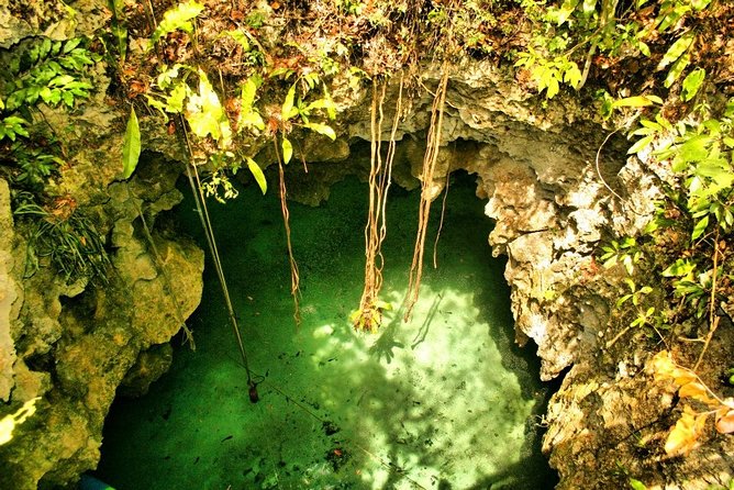 Tulum Ruins & Cenote Guided Private Tour From Tulum and Riviera Maya. - Recommended by Travelers