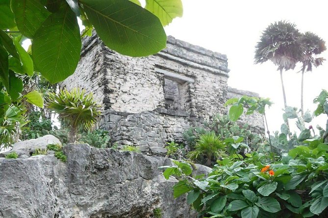 Tulum Ruins Tour (Private, Half Day) - Guide Feedback