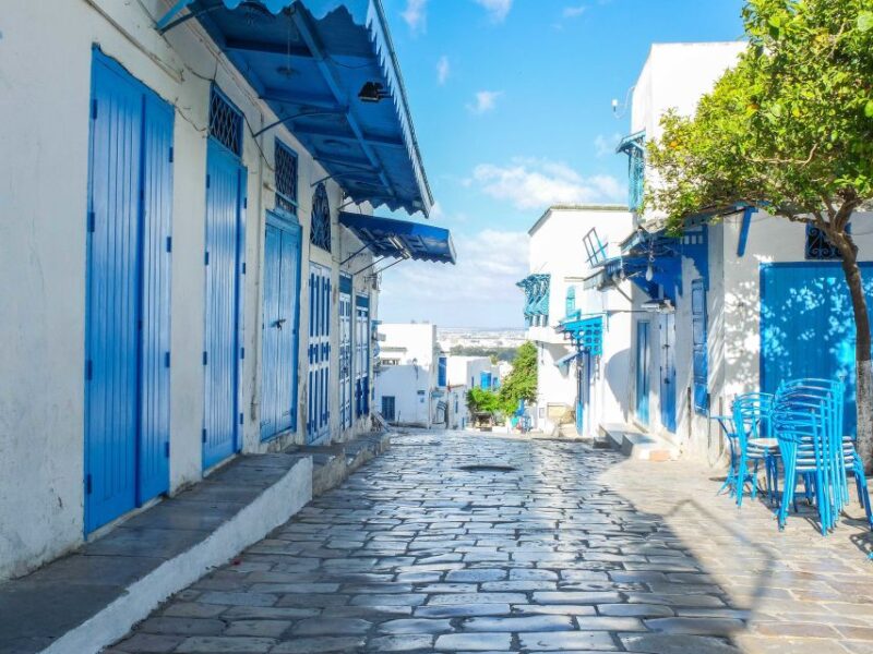 Tunis Governorate: Full-Day Tour - Sidi Bou Said Charm