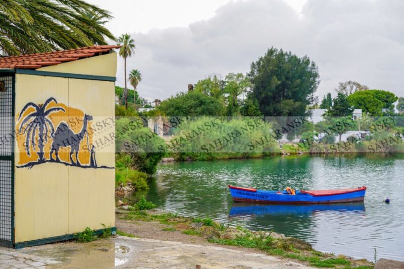 Tunis: Private Full-Day Tunis Highlights Tour - Traditional Markets
