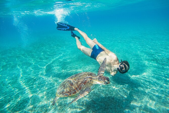 Turtle and Shipwreck Snorkel Private Tour in Barbados - Snorkeling the Crystal Waters