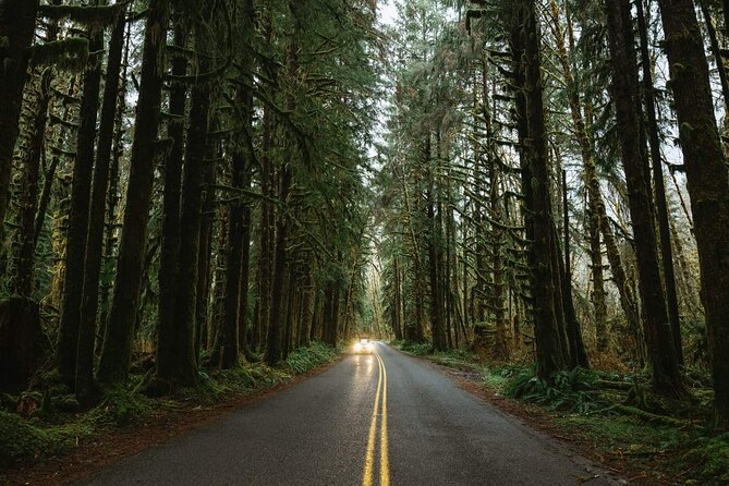 Twilight Forks Washington Tour - Maximizing Your Experience