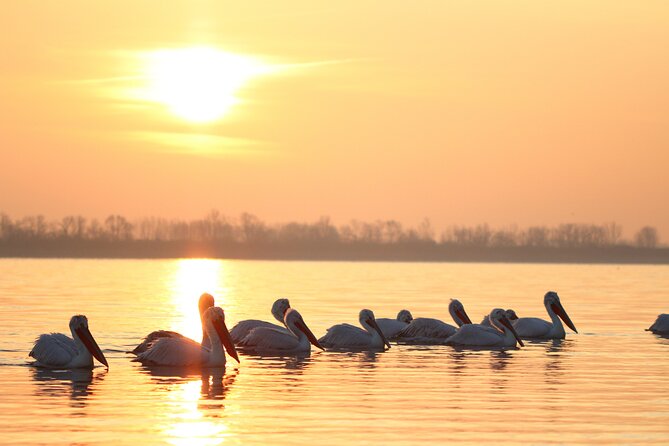 Two-day Birding Trip: Cape Kaliakra & Srebarna Lake - Booking and Cancellation Policy