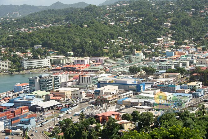 Two-Hour Tour and Beach Break Family Groups Only - Castries Market
